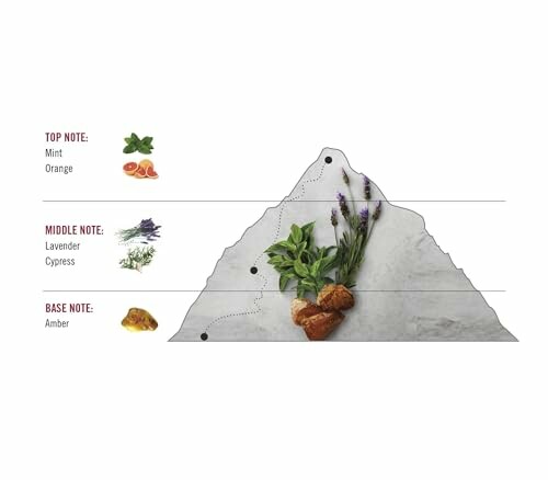 Fragrance pyramid with top notes of mint and orange, middle notes of lavender and cypress, base note of amber.