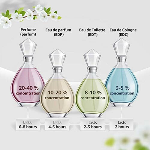 Infographic showing perfume types and their concentrations: Perfume, Eau de Parfum, Eau de Toilette, Eau de Cologne.